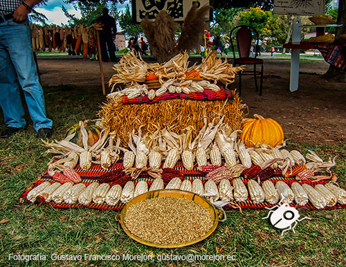 Gustavo Morejón: Fotografías en la categoría Fotografías del maravilloso mundo de la comida alrededor del Mundo.