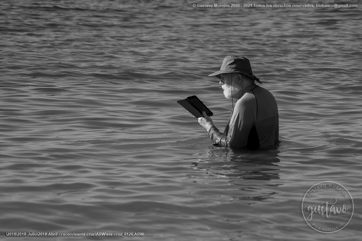 El viejo .... y el mar